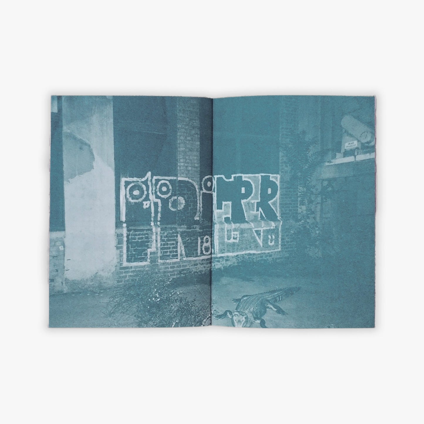 PERKUP & FRIEND - 23 Reptiles Zine