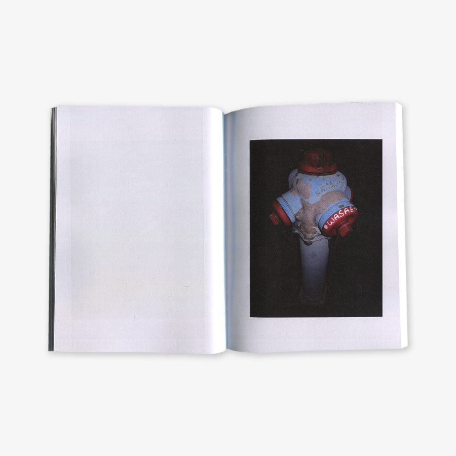 WASABI - Hydranten bei Nacht