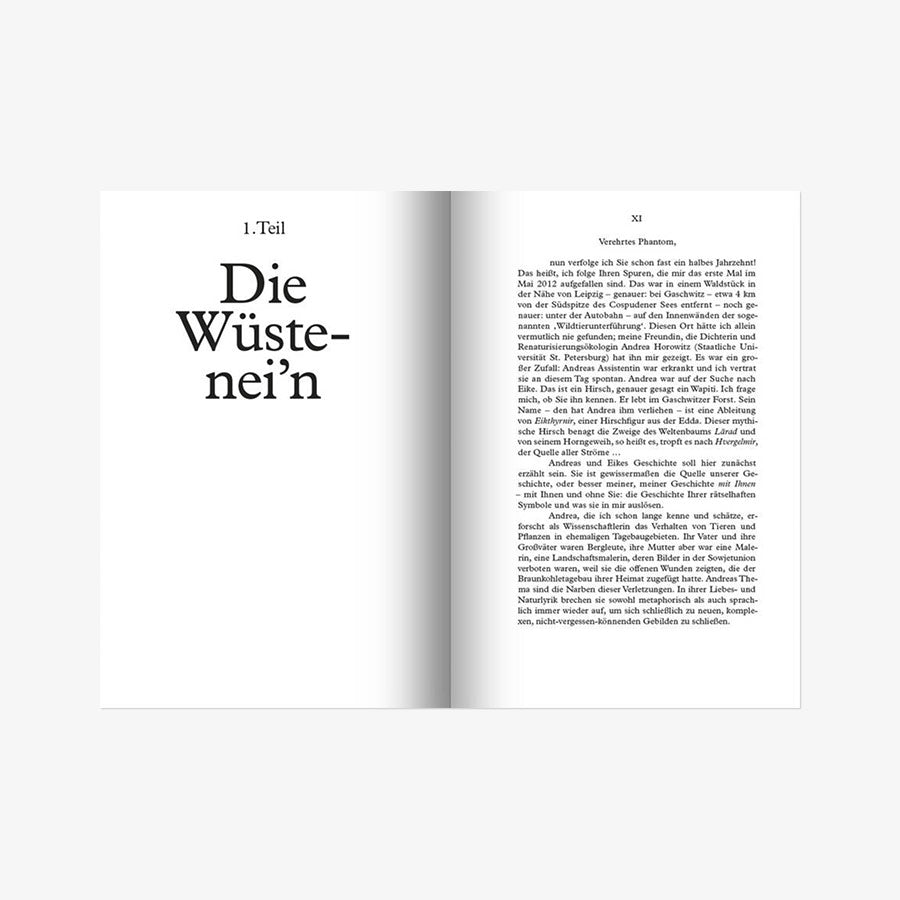 Verehrtes Phantom, - Kat Dogtok