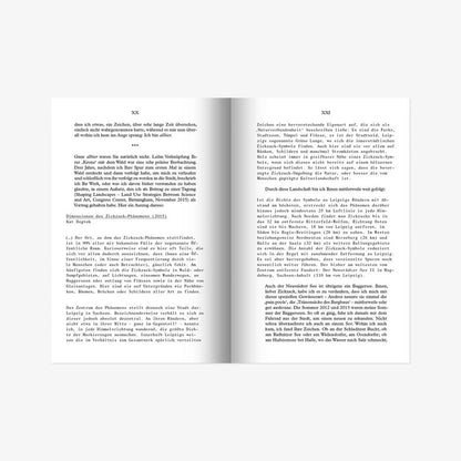 Verehrtes Phantom, - Kat Dogtok