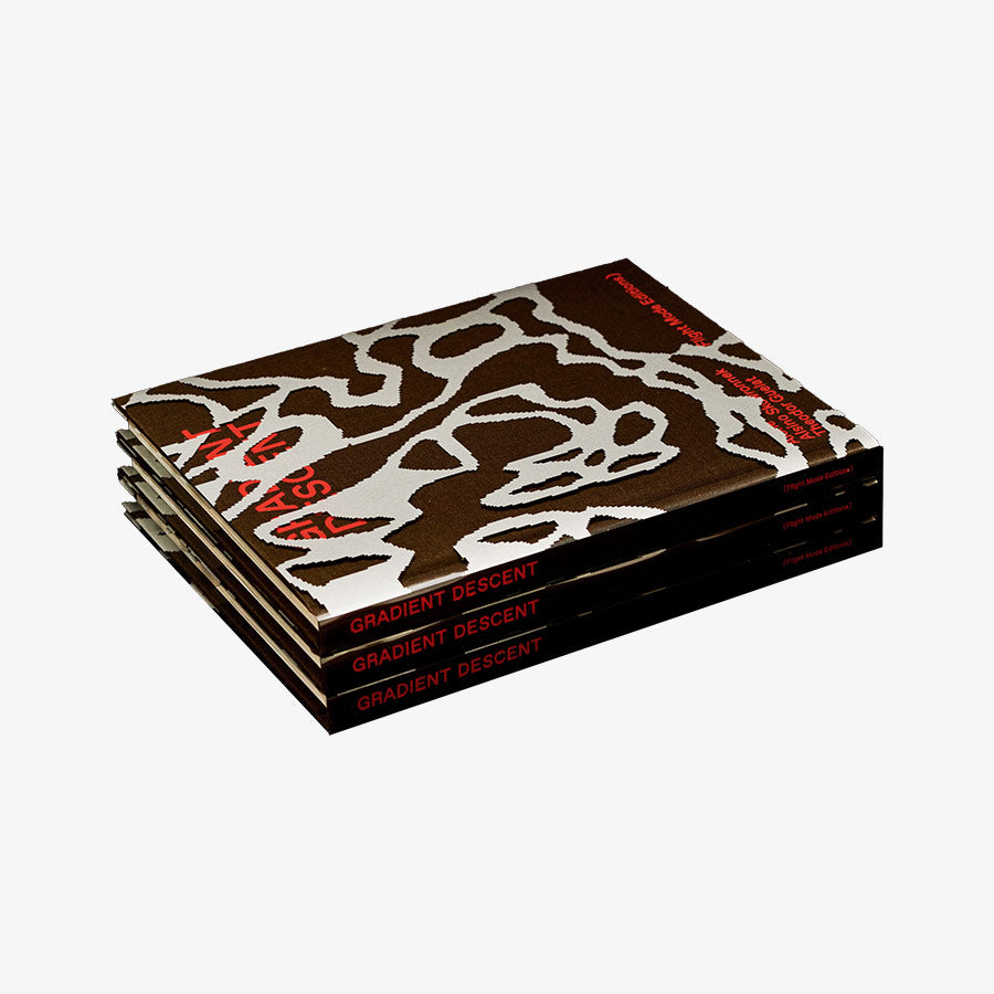 Gradient Descent (Flight Mode Editions)