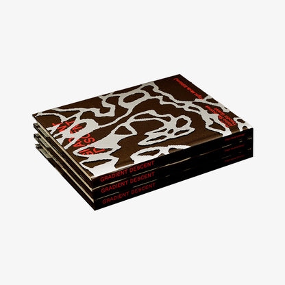 Gradient Descent (Flight Mode Editions)