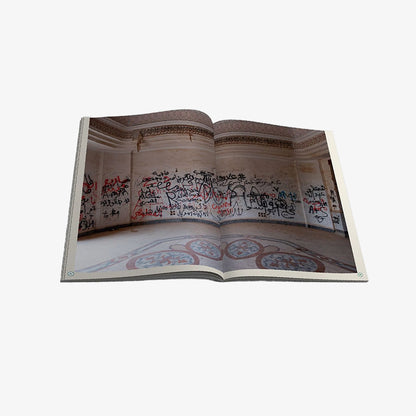 Pablo Allison - Iraq Walls