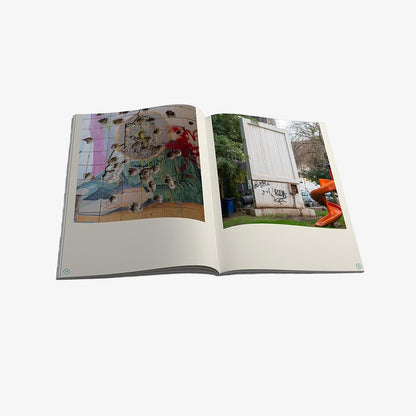 Pablo Allison - Iraq Walls