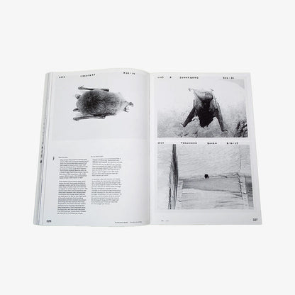 The Mountain’s Breath - De Adem Van De Berg - Sven Gerhardt