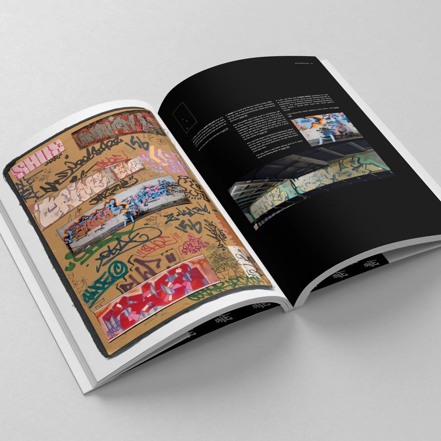 Shoe’s Black Book − Graffiti in the 1980s by Niels Shoe Meulman (Regular Edition)