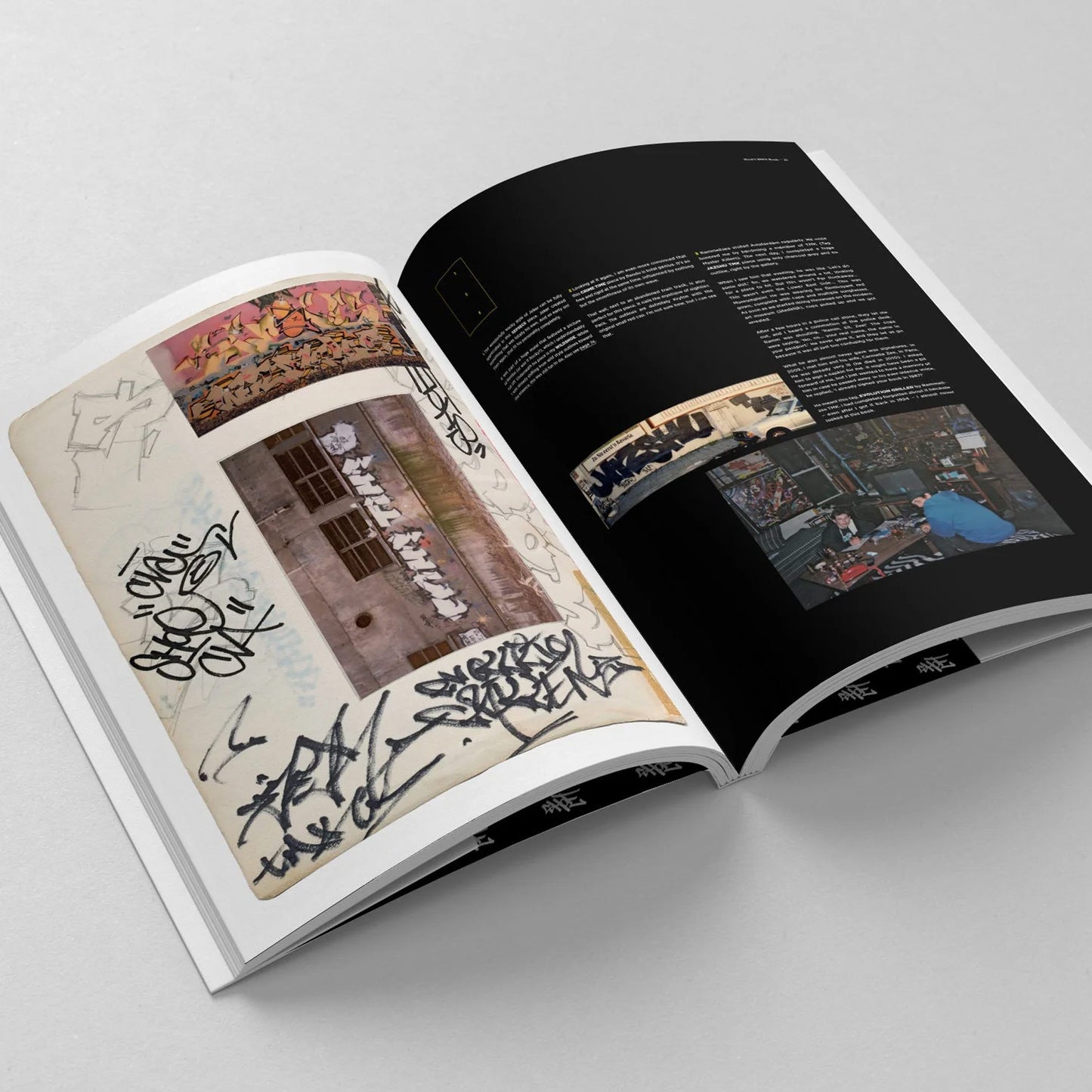Shoe’s Black Book − Graffiti in the 1980s by Niels Shoe Meulman (Regular Edition)