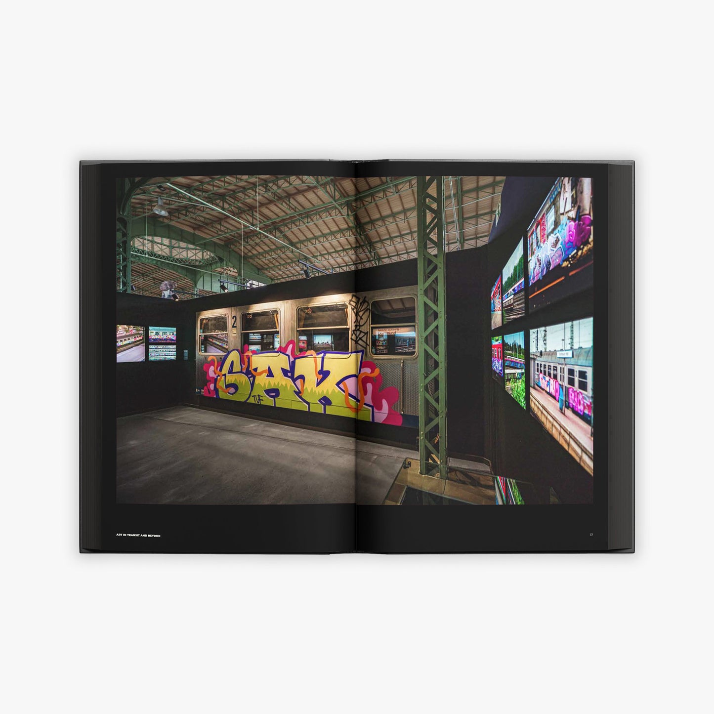 ART IN TRANSIT AND BEYOND – Hallenkunst Katalog