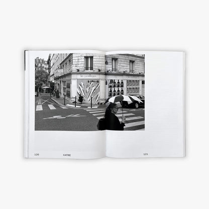 VANDALS IN PARIS