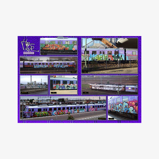 Pågatåg Motorvagn X11 Zine