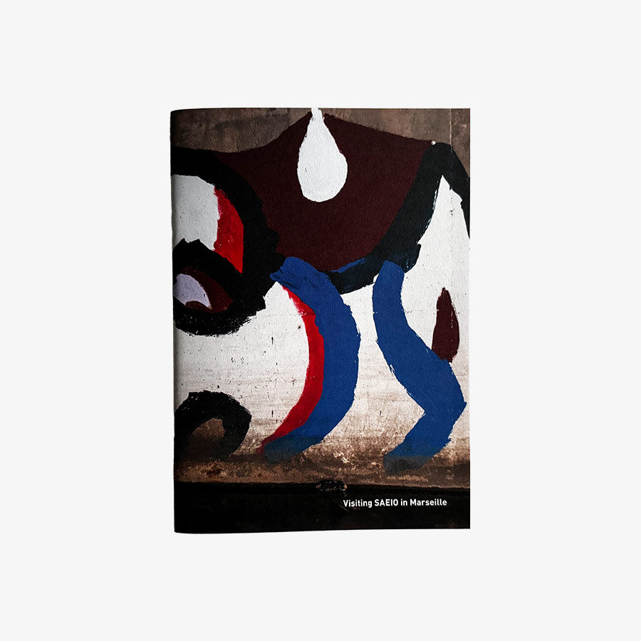 Visiting SAEIO in Marseille