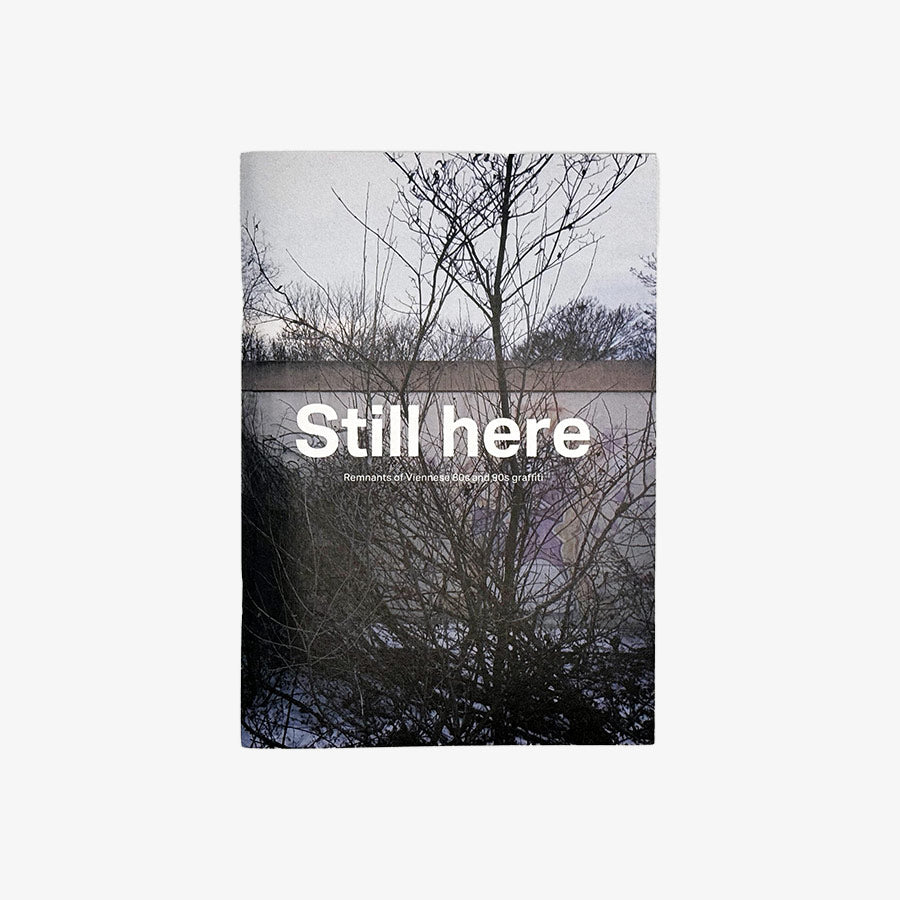 Still here Remnants of Viennese 80s and 90s graffiti