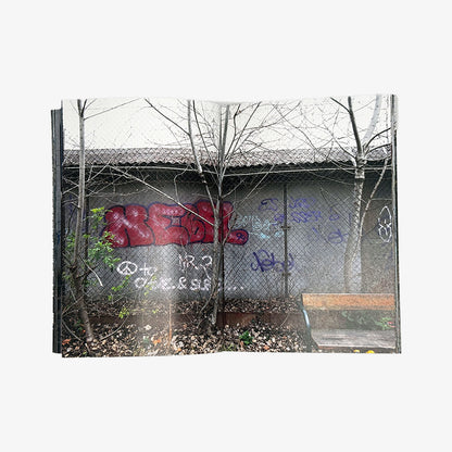 Still here Remnants of Viennese 80s and 90s graffiti