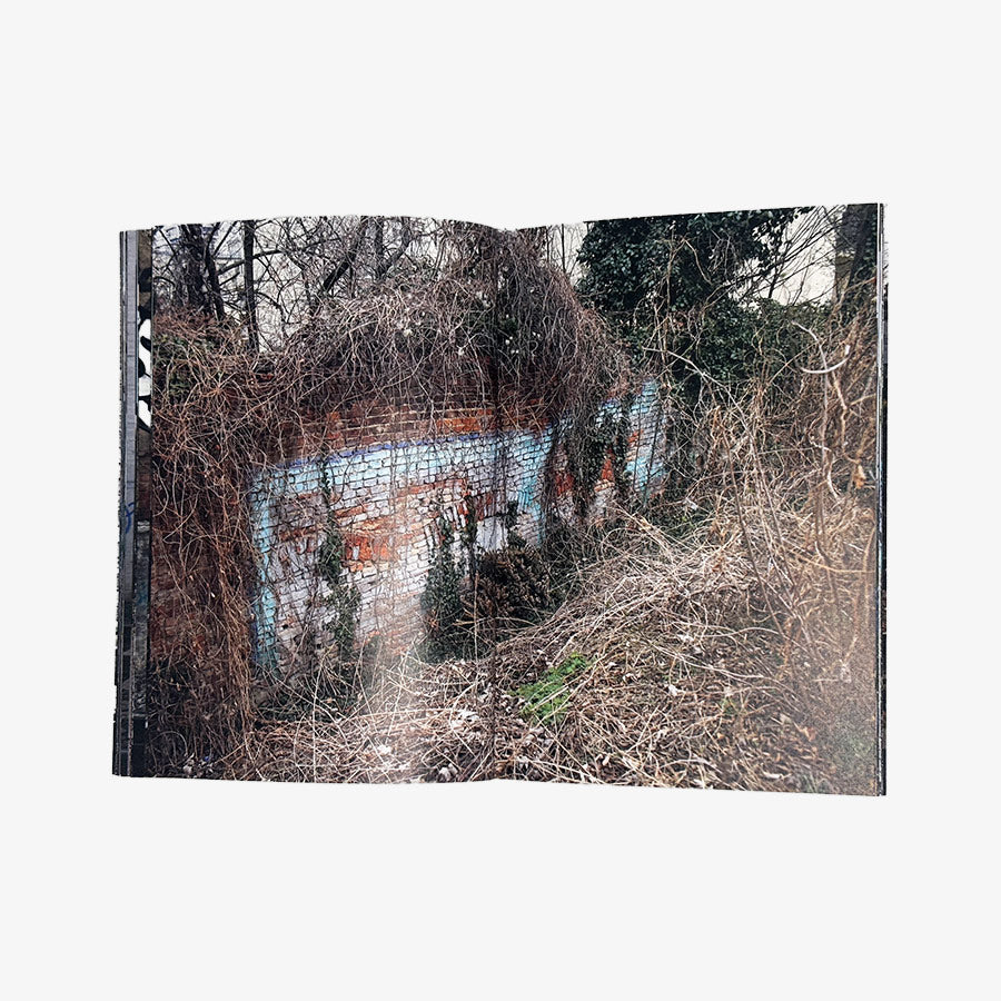 Still here Remnants of Viennese 80s and 90s graffiti