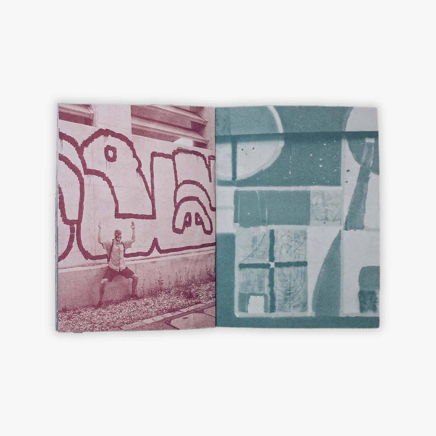 PERKUP & FRIEND - 23 Reptiles Zine