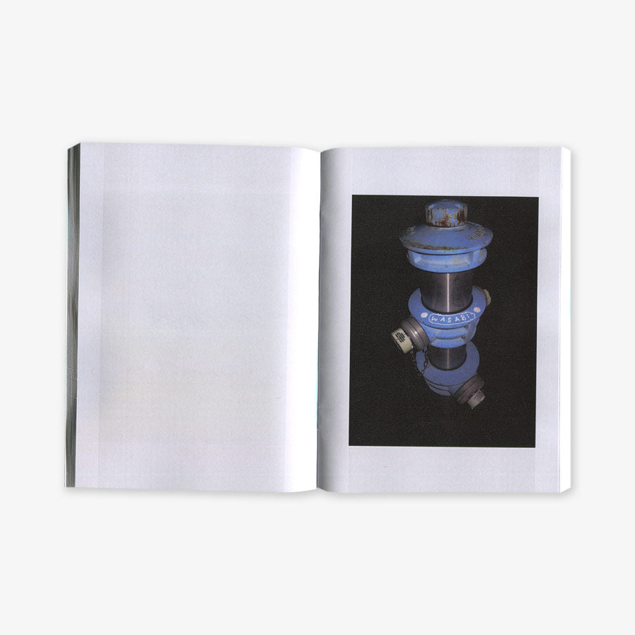 WASABI - Hydranten bei Nacht