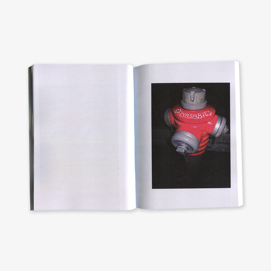 WASABI - Hydranten bei Nacht