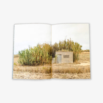 ABCDEF - Avanti Dilettanti