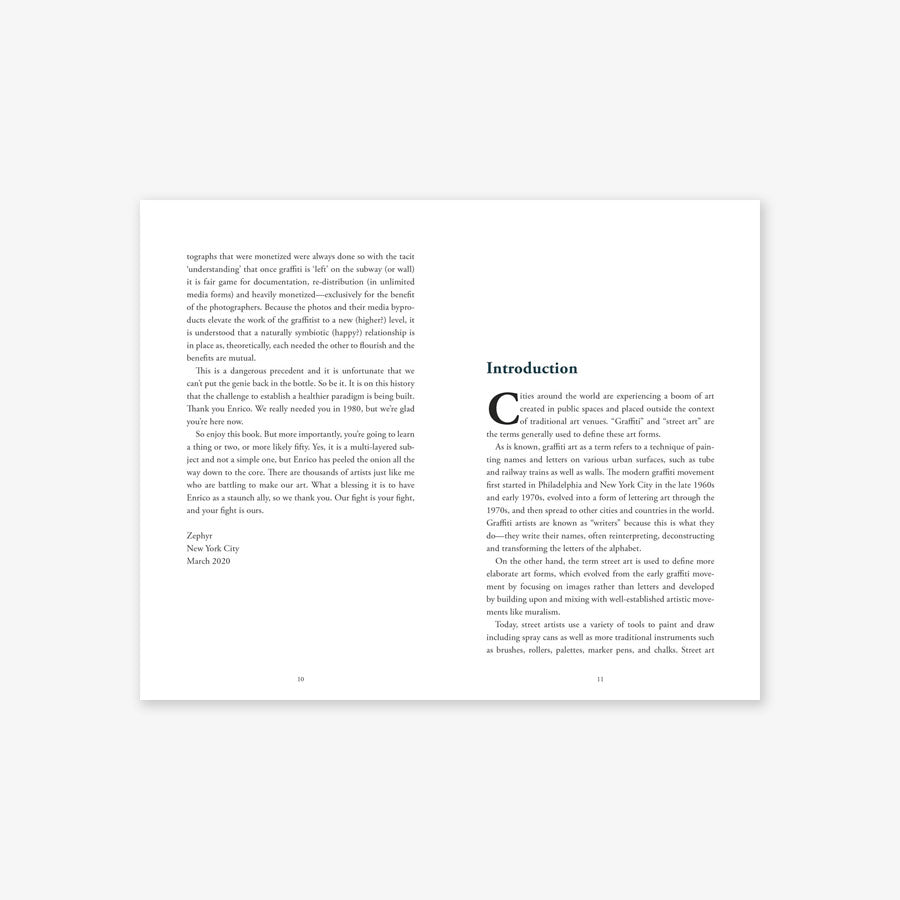 Protecting Art in the Street